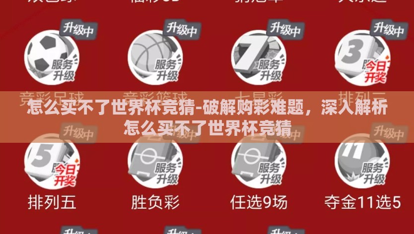 怎么买不了世界杯竞猜-破解购彩难题，深入解析怎么买不了世界杯竞猜