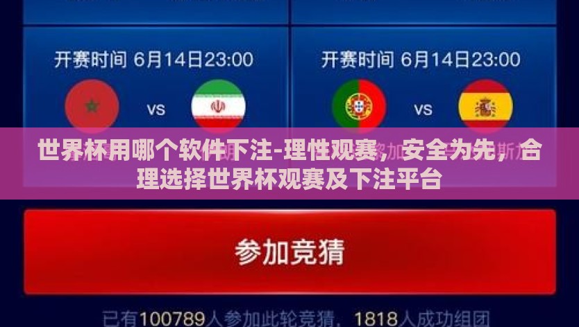 世界杯用哪个软件下注-理性观赛，安全为先，合理选择世界杯观赛及下注平台