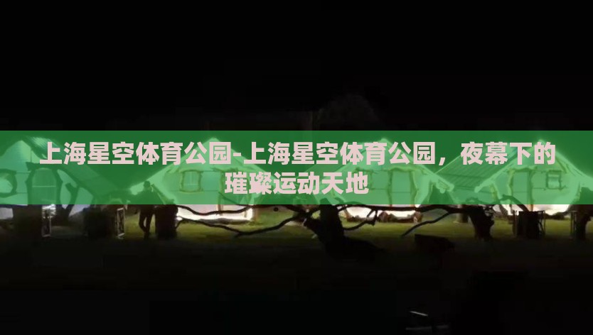 上海星空体育公园-上海星空体育公园，夜幕下的璀璨运动天地