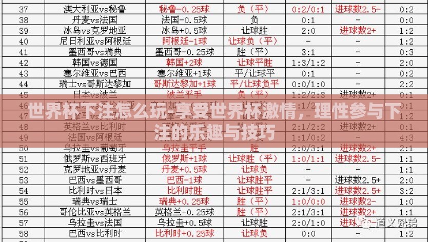 世界杯下注怎么玩-享受世界杯激情，理性参与下注的乐趣与技巧