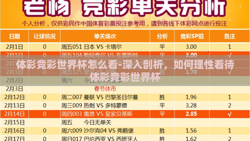 体彩竞彩世界杯怎么看-深入剖析，如何理性看待体彩竞彩世界杯