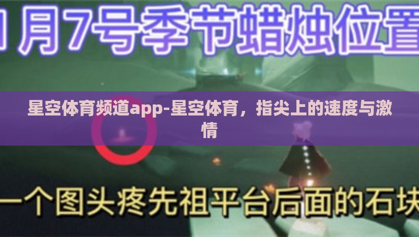 星空体育频道app-星空体育，指尖上的速度与激情