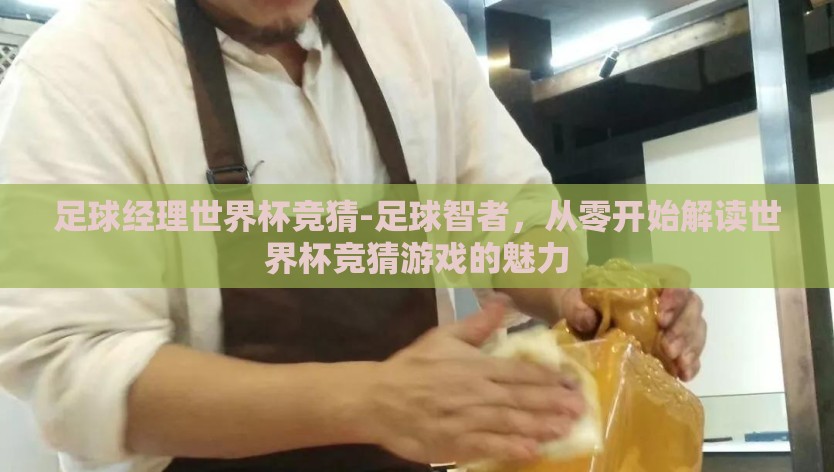 足球经理世界杯竞猜-足球智者，从零开始解读世界杯竞猜游戏的魅力