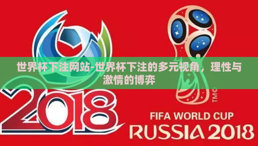 世界杯下注网站-世界杯下注的多元视角，理性与激情的博弈