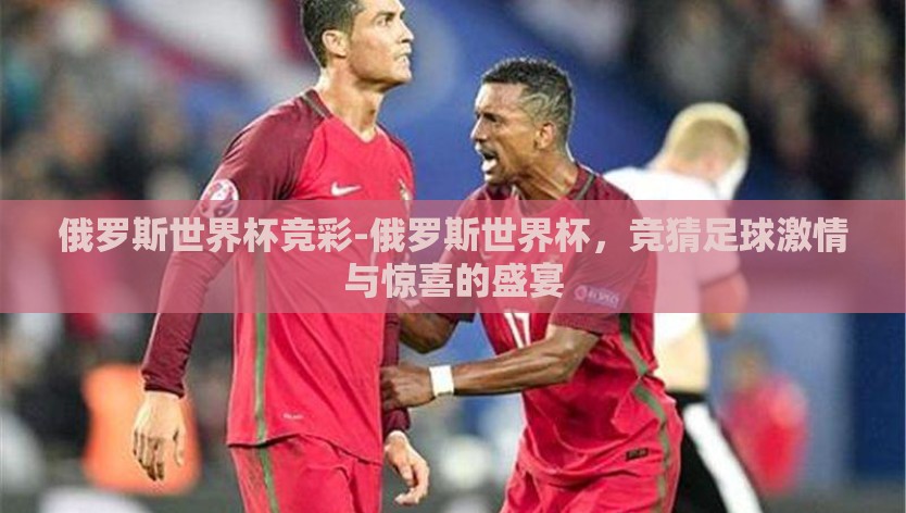 俄罗斯世界杯竞彩-俄罗斯世界杯，竞猜足球激情与惊喜的盛宴